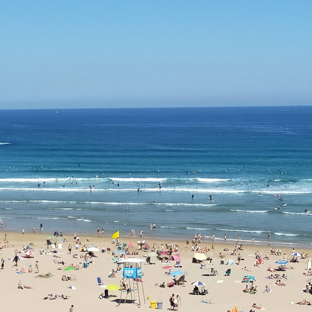Single Fin Classic 2026 1